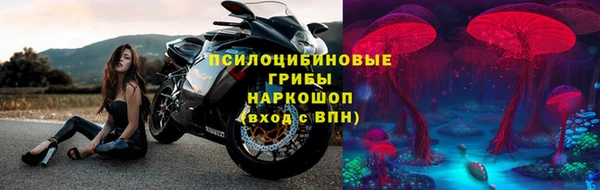 СК Арсеньев