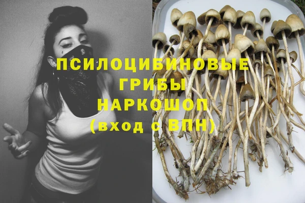 ешки Алзамай