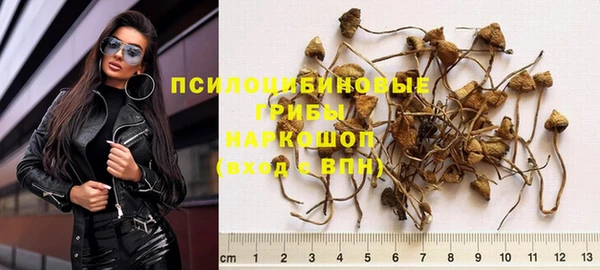 сатива Армянск