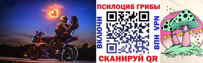 Галлюциногенные грибы MAGIC MUSHROOMS  цена наркотик  shop телеграм  Мышкин 